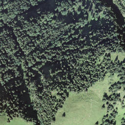 Satellite imagery of Schartihöreli, CH