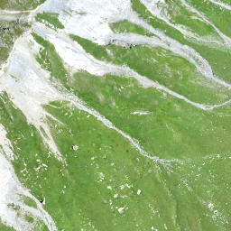 Satellite imagery of Büchel, CH