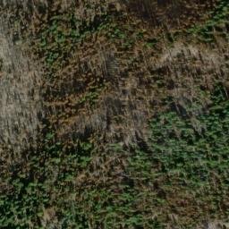 Satellite imagery of American Ridge, US