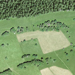 Satellite imagery of Le Signal, CH