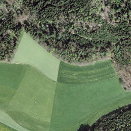 Satellite imagery of Burgruine Neu Bubenberg, CH