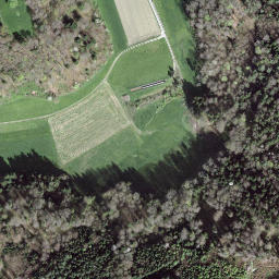 Satellite imagery of Burgruine Neu Bubenberg, CH