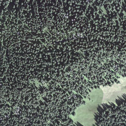 Satellite imagery of Egg, CH