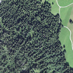 Satellite imagery of Vorderegg, CH