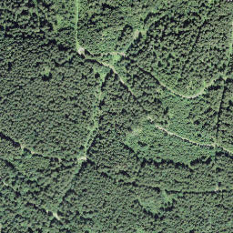 Satellite imagery of Ruchegg, CH