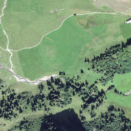 Satellite imagery of Alpeler, CH