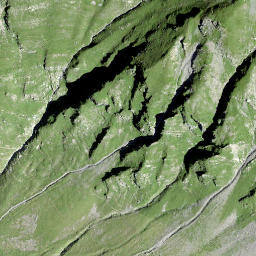 Satellite imagery of Richetlipass, CH