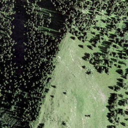 Satellite imagery of Vorder Lerch, CH