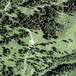 Satellite imagery of Vorder Lerch, CH