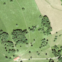 Satellite imagery of Le Signal, CH