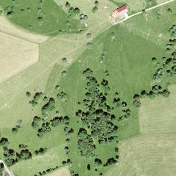 Satellite imagery of Le Signal, CH