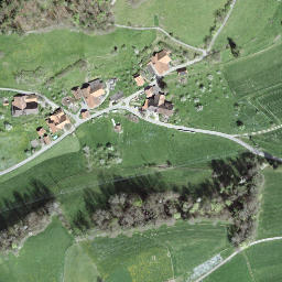 Satellite imagery of Ulmizberg, CH