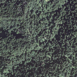 Satellite imagery of Guggchnubel, CH