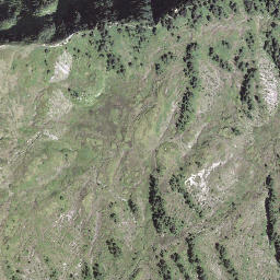 Satellite imagery of Fürstein, CH