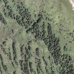 Satellite imagery of Rickhubel, CH