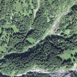 Satellite imagery of Ruchegg, CH