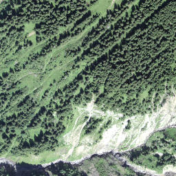 Satellite imagery of Rinderbalm, CH