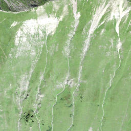 Satellite imagery of Wild Alpeli, CH