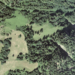 Satellite imagery of Wanggrat, CH