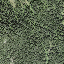 Satellite imagery of Höch Egg, CH