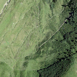 Satellite imagery of Vorder Lerch, CH