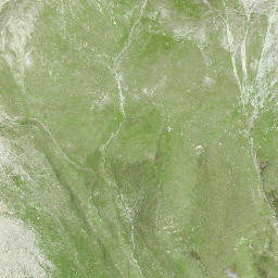 Satellite imagery of Fuorcletta, CH