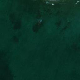 Satellite imagery of Winging Point, CA