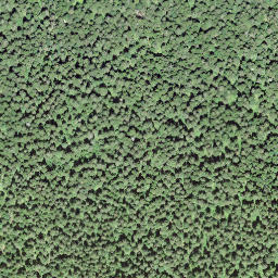 Satellite imagery of borNE-VD.47, IT
