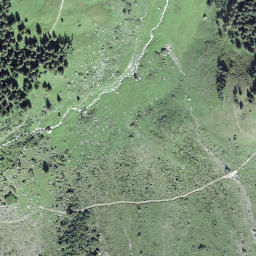 Satellite imagery of Alpeler, CH
