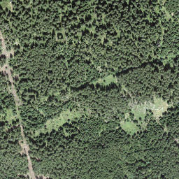 Satellite imagery of Höch Egg, CH