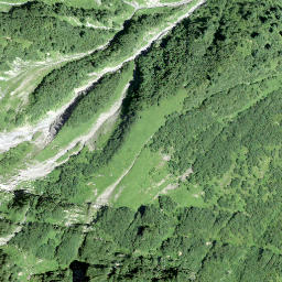 Satellite imagery of Guetbächikamm, CH