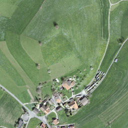 Satellite imagery of Leenhubel, CH