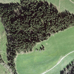 Satellite imagery of Chäserenegg, CH
