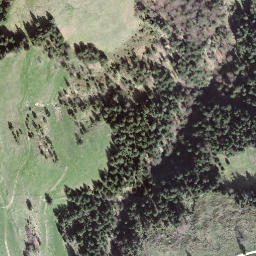 Satellite imagery of Chäserenegg, CH
