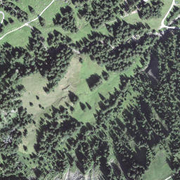 Satellite imagery of Hellschwandchopf, CH