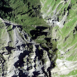Satellite imagery of Vorstegstock, CH