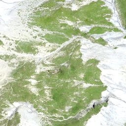 Satellite imagery of Fuorcla Raschaglius, CH