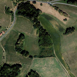 Satellite imagery of Schloß Kapfenstein, AT
