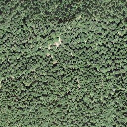 Satellite imagery of Crêt Rond, CH