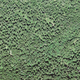 Satellite imagery of borNE-VD.40, IT