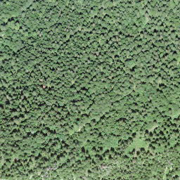 Satellite imagery of borNE-VD.41, IT