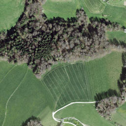 Satellite imagery of Lisiberg, CH