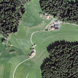 Satellite imagery of Leenhubel, CH