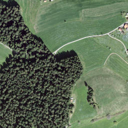 Satellite imagery of Leenhubel, CH