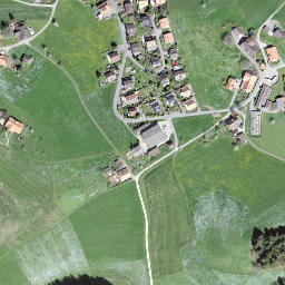 Satellite imagery of Leenhubel, CH