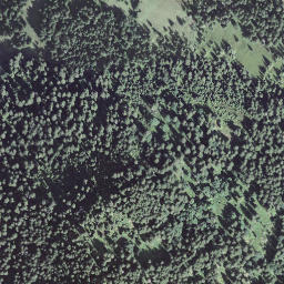 Satellite imagery of Grüenengütsch, CH