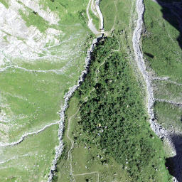 Satellite imagery of Birchenplänggli, CH