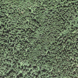 Satellite imagery of borNE-VD.29, IT