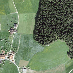 Satellite imagery of Leenhubel, CH