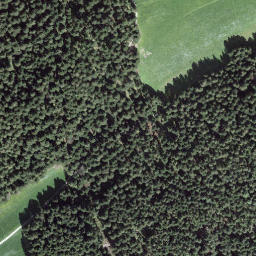 Satellite imagery of Leenhubel, CH